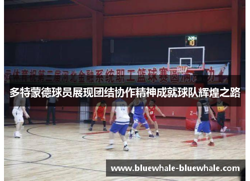 多特蒙德球员展现团结协作精神成就球队辉煌之路