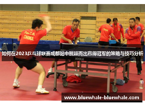 如何在2023乒乓球联赛成都站中脱颖而出赢得冠军的策略与技巧分析
