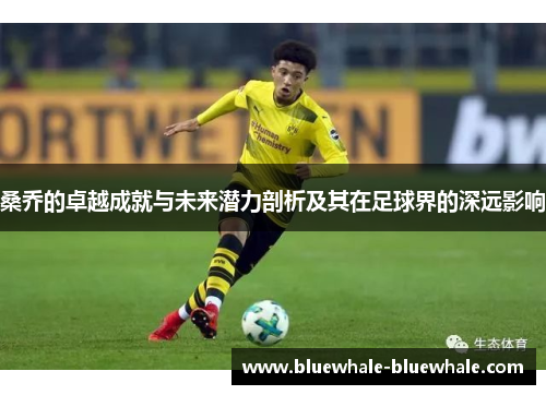 桑乔的卓越成就与未来潜力剖析及其在足球界的深远影响