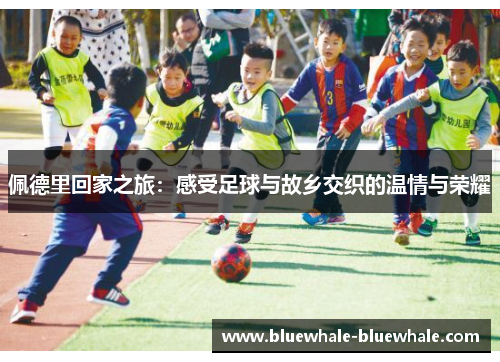 佩德里回家之旅：感受足球与故乡交织的温情与荣耀