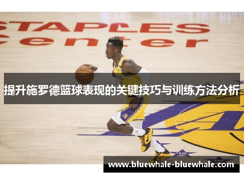 提升施罗德篮球表现的关键技巧与训练方法分析