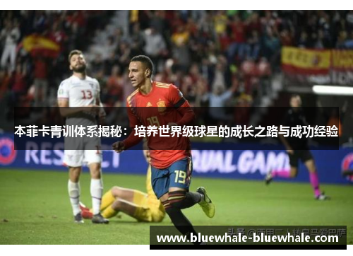 本菲卡青训体系揭秘：培养世界级球星的成长之路与成功经验