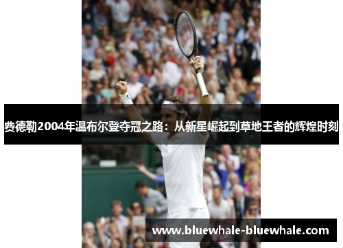 费德勒2004年温布尔登夺冠之路：从新星崛起到草地王者的辉煌时刻