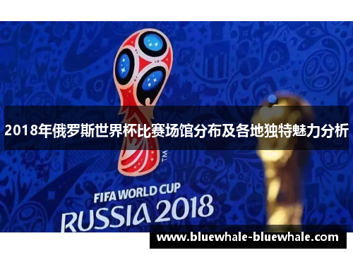 2018年俄罗斯世界杯比赛场馆分布及各地独特魅力分析