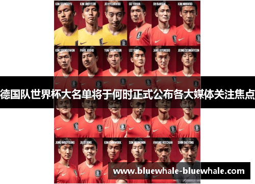 德国队世界杯大名单将于何时正式公布各大媒体关注焦点